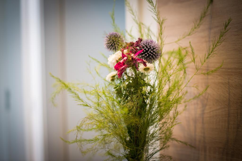 Apartments Miki'S เบลด ภายนอก รูปภาพ