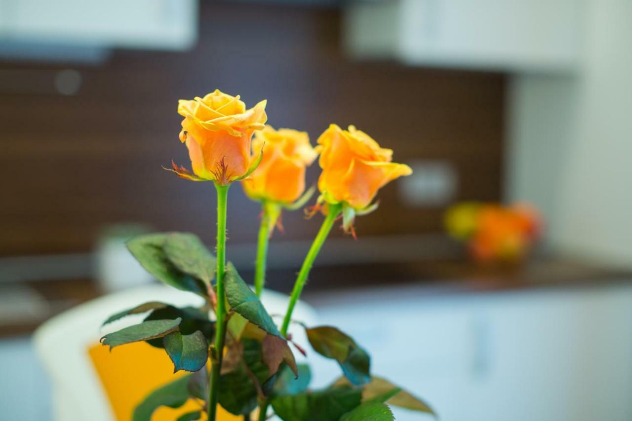 Apartments Miki'S เบลด ภายนอก รูปภาพ